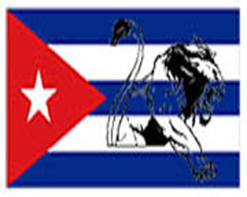 katsc9's profile picture. 