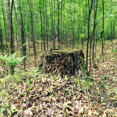 avidreader79's profile picture. 