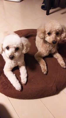 m4314r4692's profile picture. May J ファン。神奈川県横浜市。 MJF方、フォローお願いします。