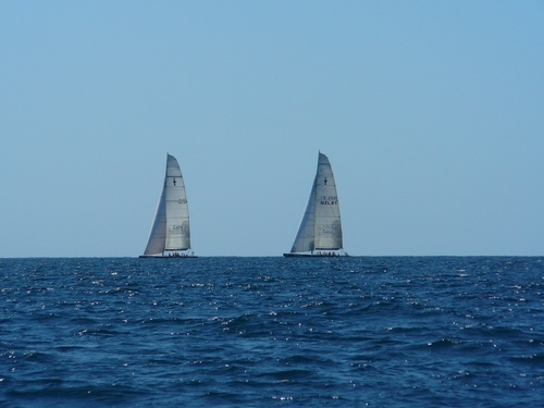 Top Ranked Director - Sailboat racer,foodie,cook, gardener.Leukemia Regatta Auction Coordinator,MS Bike supporter.