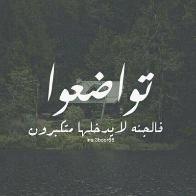 aaaaaa111b's profile picture. 