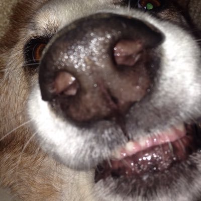 Lawrenc05675551's profile picture. TN