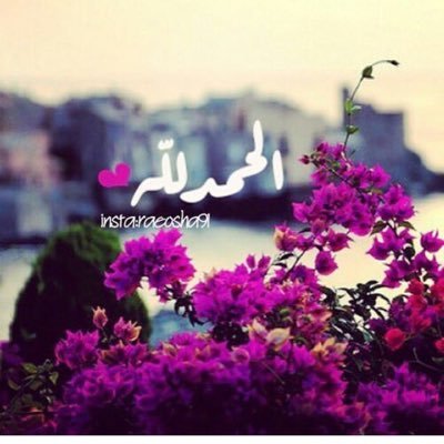 Hanan32164880's profile picture. يا رب بشرني بالخير وانت خير المبشرين