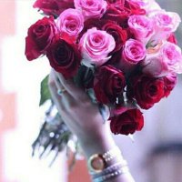 الحساسة (@717_u) Twitter profile photo