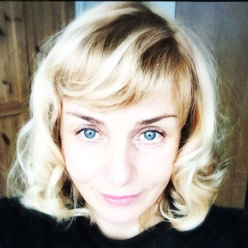 Professor, Media Studies (SDU, Denmark) & a wandering scholar within the interdisciplinary field of technology & social sciences.