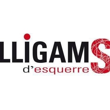 LLIGAMS d'esquerresさんのプロフィール画像