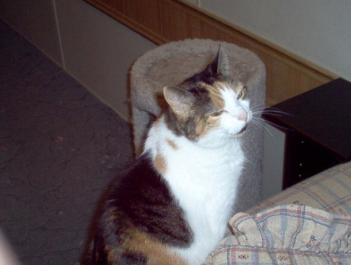 glens911's profile picture. 