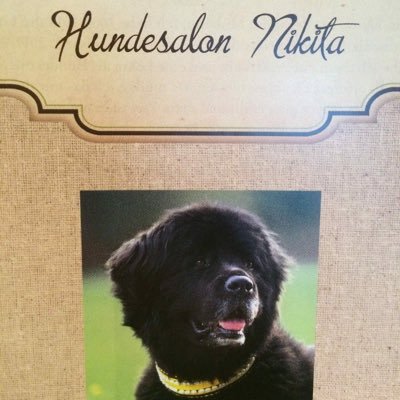 Hundesalon Nikita by Alexandra Muheim in 8909 Zwillikon, https://t.co/IcA3YJ7jLo