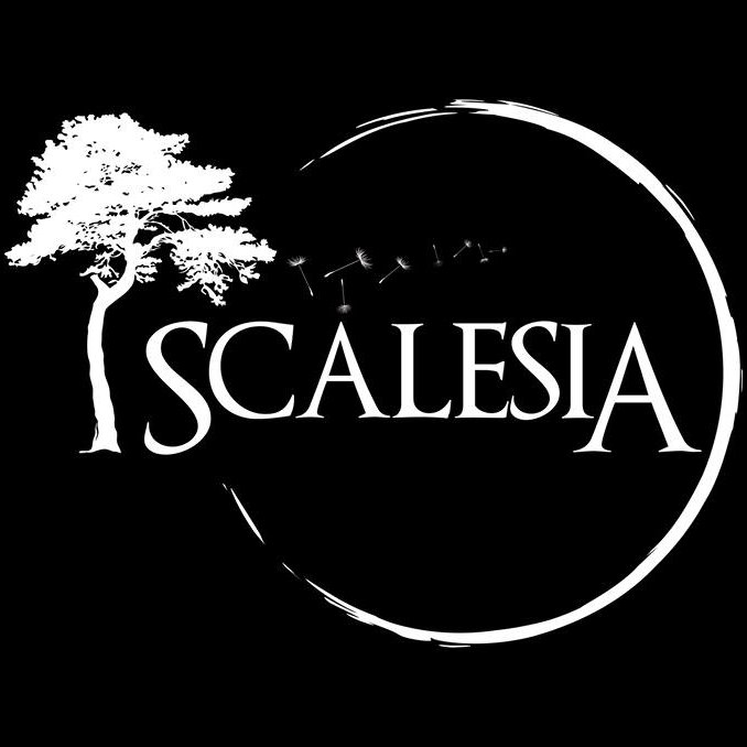 Scalesia est un groupe de 2 musiciens mélangeant musique acoustique et éléctronique. Nous composons pour des artistes, publicités, films, vidéos.