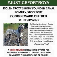 #justicefortroya (@justicefortroya) 's Twitter Profile Photo #justicefortroya (@justicefortroya) 's Twitter Profile Photo