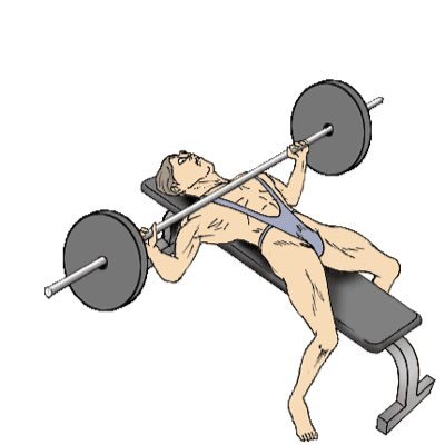 Benchpress00's profile picture. おいっち