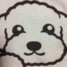 otsulider13's profile picture. 犬、音楽、野球、将棋、ルービックキューブ