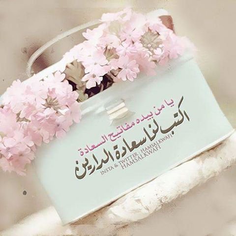 hasmaamamdoh20's profile picture. 