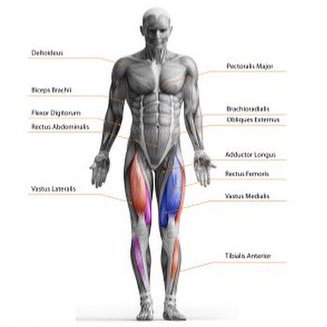 Biomechanics and kinesiology company providing the best in fitness and rehabilitation solutions for sports, medical, research and work related applications.