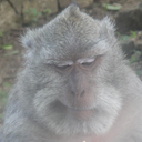 Bruce Mitchener - @ArmyOfBruce - Twitter