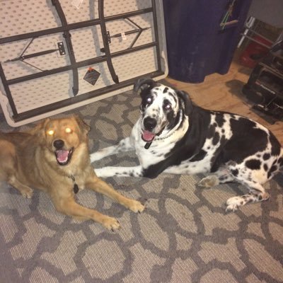 mattdavis9482's profile picture. 