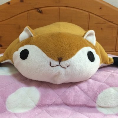 アカウント消えました なんかログイン出来なくなったのでこっちフォローしてもらえると嬉しいです