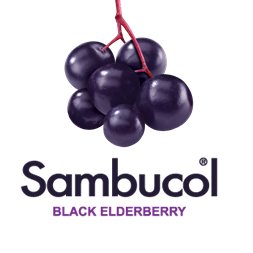 Keep your immune system healthy with Sambucol. Clinically proven Black Elderberry formula plus Vitamin C & Zinc. Great Tasting & Suitable for all the family.