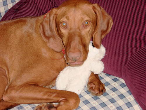 armychaplain11's profile picture. My roommate (Jaclyn) is the coolest person I know. I think she is the bombdigity. The end.