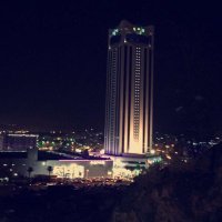 نبض الطائف (@pulse_taif) 's Twitter Profile