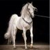 راح زمن الطيبين (@almousnabil) Twitter profile photo راح زمن الطيبين (@almousnabil) Twitter profile photo