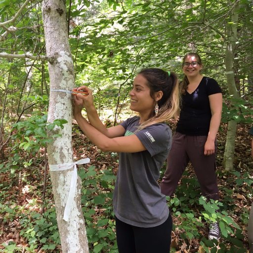 PEP is for college students to spend a summer gaining experience in marine & environmental science in Woods Hole.