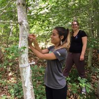 The Woods Hole Partnership Education Program (PEP) (@woodsholepep) 's Twitter Profile