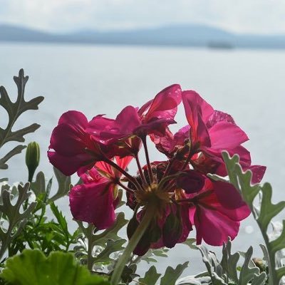 Epost136's profile picture. 