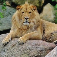 WhyZoos&AquarMatter! (@whyzoosmatter) 's Twitter Profile Photo WhyZoos&AquarMatter! (@whyzoosmatter) 's Twitter Profile Photo