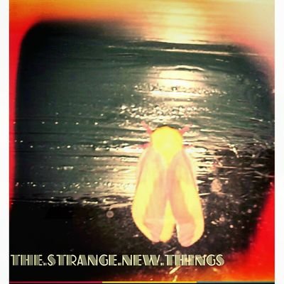 DerekComley's profile picture. Musician, artist,guitar/vox for the Strange New Things.
http://t.co/CIYm9T411r