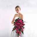 William Lark - @WeddingRelated - Twitter