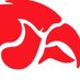 Cedar Athletics (@cedar_athletics) Twitter profile photo Cedar Athletics (@cedar_athletics) Twitter profile photo