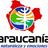 @infoaraucania