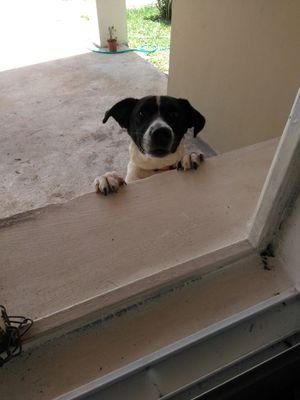 MdelCAchurra's profile picture. 