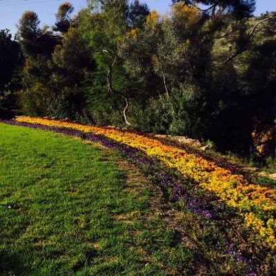 jbl1almkbr's profile picture. 