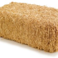 CapitalOne_Cup (@capitalone_cup) 's Twitter Profile