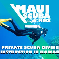 Scuba dive Maui with expert dive master Scuba Mike