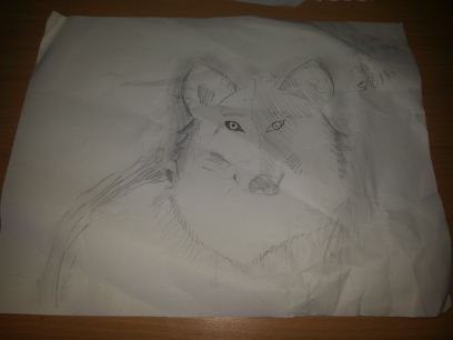 hello every one and thanks for checking me out! if you want more of me, go to my youtube! its Magic wolf and its the one with the flowers and 53 amazing subs!