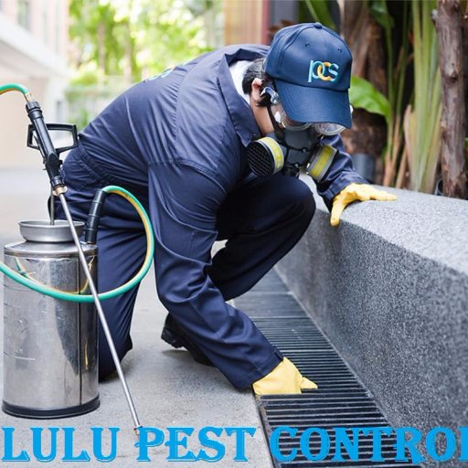 pestcontroldxb's profile picture. we are the experts in Pest Control Services, Approved By Dubai & Sharjah Municipalities, Experienced technical staff, high quality pesticide.