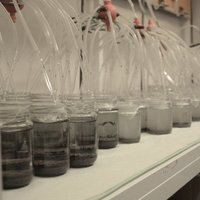 UEF Aquatic Ecotox (@uef_ecotox) 's Twitter Profile Photo UEF Aquatic Ecotox (@uef_ecotox) 's Twitter Profile Photo