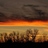 TheCabinLifeWI's profile image