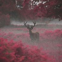 افـ،ـلام جـ،ـوٓن (@4gatha1990) 's Twitter Profile Photo