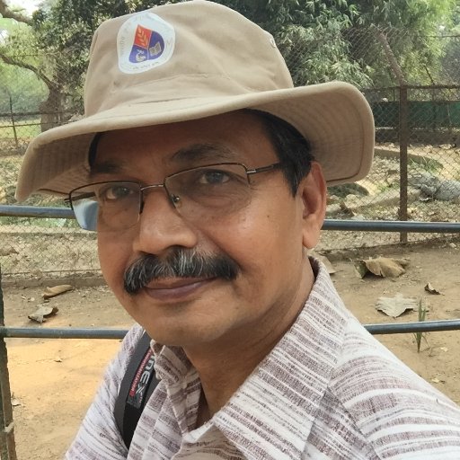 GTGujar's profile picture. Societal Observer