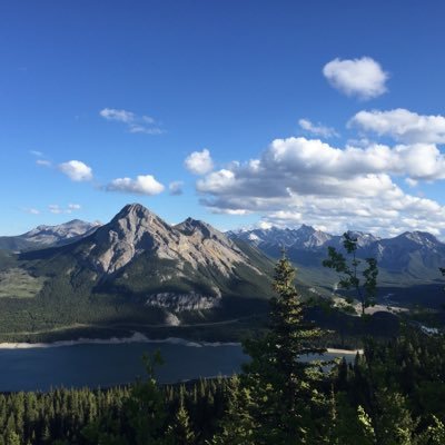 RTMoffatt's profile picture. 