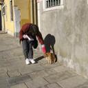 Caroline Watkins - @laptopcropper - Twitter