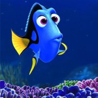 Dory (@olivierdpj) 's Twitter Profile