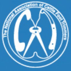 NACFTUK's profile picture. National Association of Cattle Foot Trimmers promoting excellence in cattle foot care across the UK #nomorelamecows