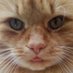 waleed khan (@privatemail1060) Twitter profile photo waleed khan (@privatemail1060) Twitter profile photo