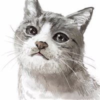あるねこ (@earlgrayneko) 's Twitter Profile