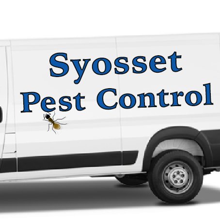 Call 516-247-6276 For A Free Consult From Your Local Syosset Pest Control And Exterminator Company Same Day/Next Day Service in Syosset NY.